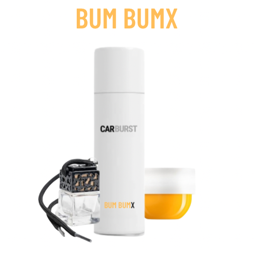 Bum BumX Car Diffuser Bundle