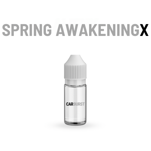 Spring AwakeningX